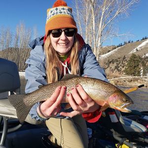 Meet your Posher, Jenny